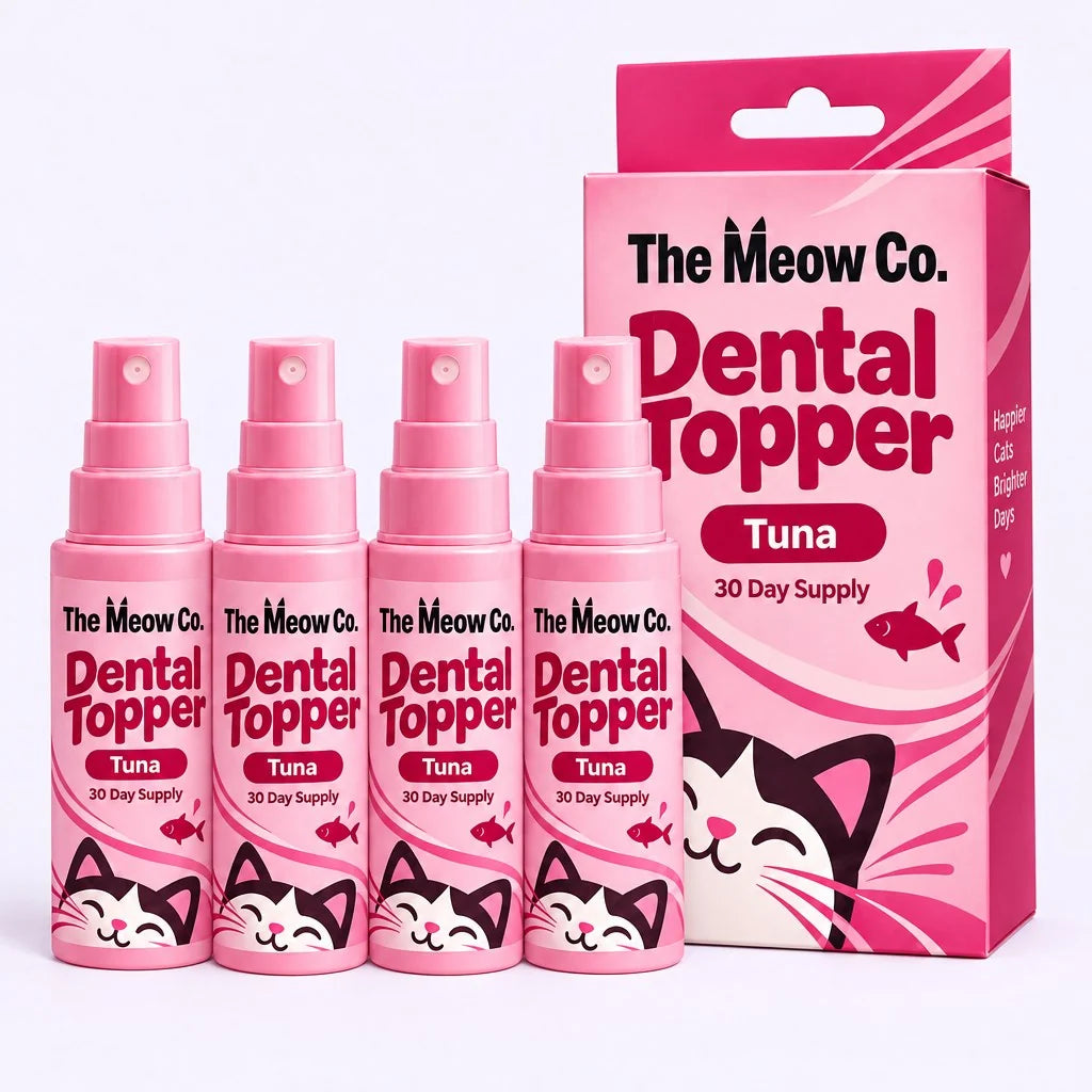 Dental Topper