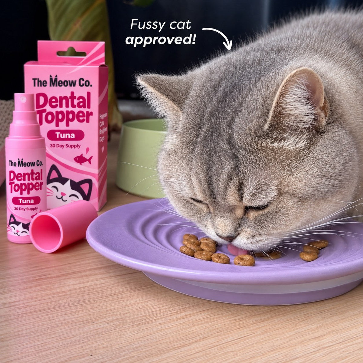 Fussy cat approved: cat eating kibble next to The Meow Co. Dental Topper (Tuna)
