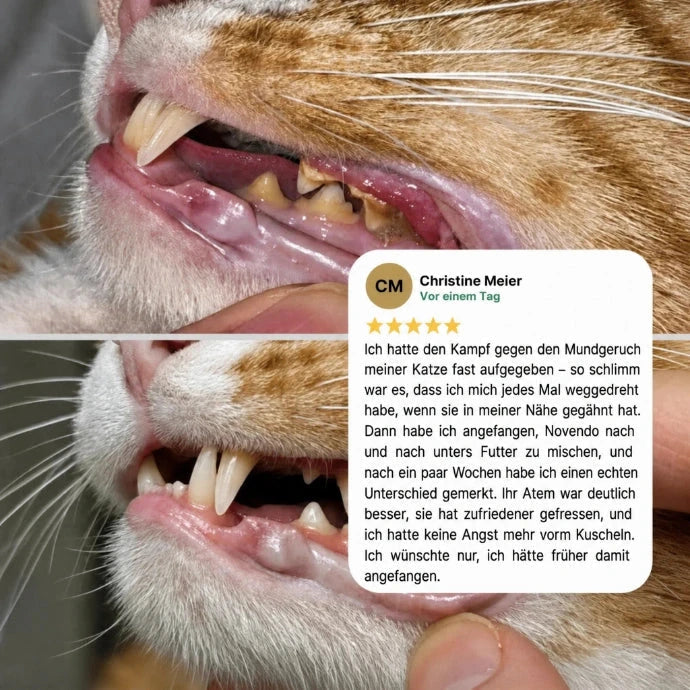 Novendo – sprinkled over wet food