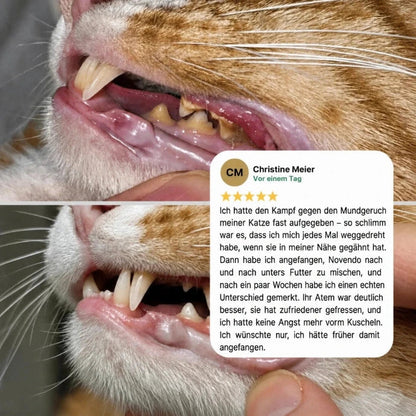 Novendo – sprinkled over wet food