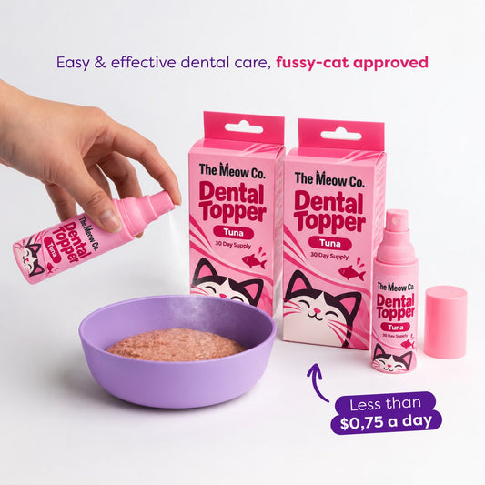 Easy & effective dental care, fussy-cat approved: spraying The Meow Co. Dental Topper on food – less than $0.75 a day